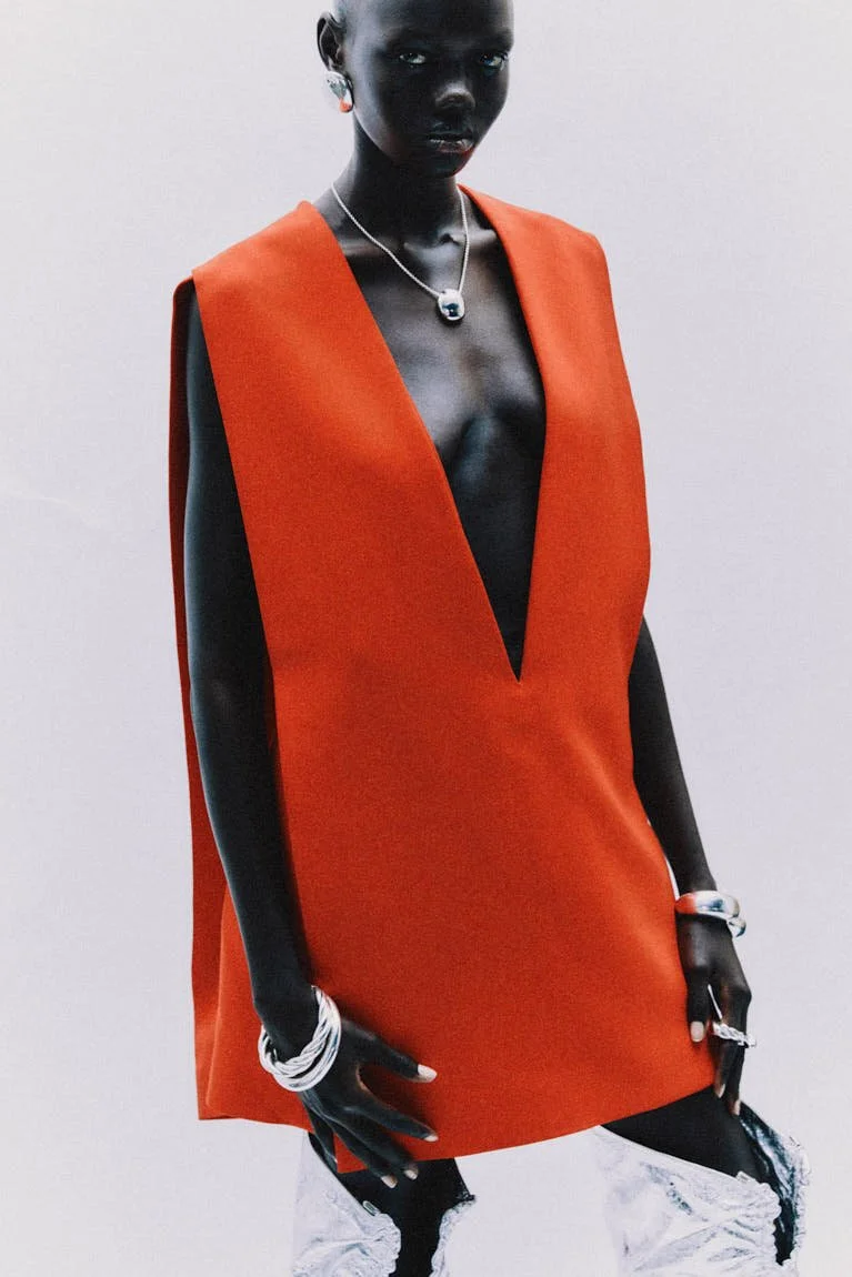 Dressed to Disrupt: SS25 Luxury Looks by Prada, Celine, Louis